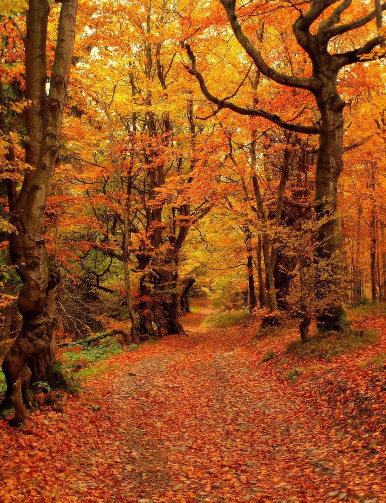 Klimatyczna Chatka U Podnoza Gory Porąbka Exterior foto